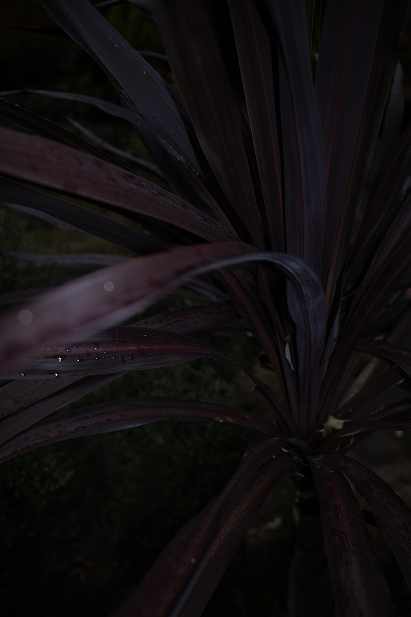 RICOH GR IVフラッシュ